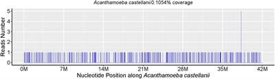 Metagenomic next-generation sequencing-assisted diagnosis of a rare case of primary cutaneous acanthamoebiasis in an HIV patient: a case report